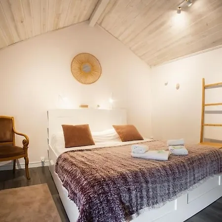 Centre De Grenoble 15min : Maison, 2 Ch, Jardin, Wifi 別荘 エシロル